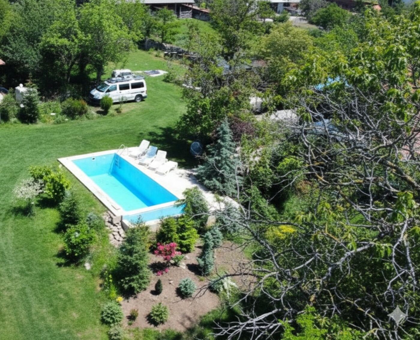 Aerial daytime view of the pool and lawn at Teddy Camp