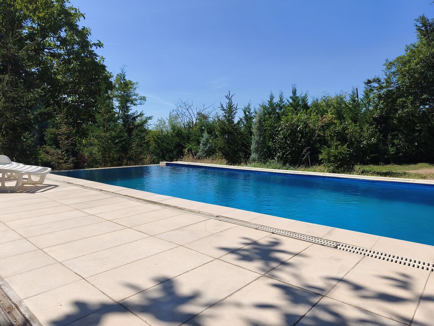Pool and sun loungers surrounded by trees at Teddy Camp Kosovo
